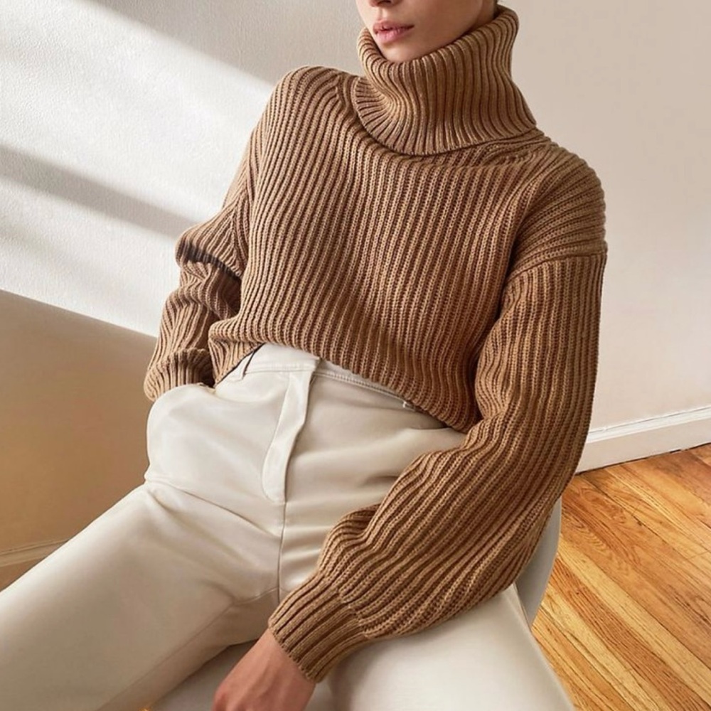 Aritzia Babaton Guell Turtleneck Sweater in Dark Sand Brown